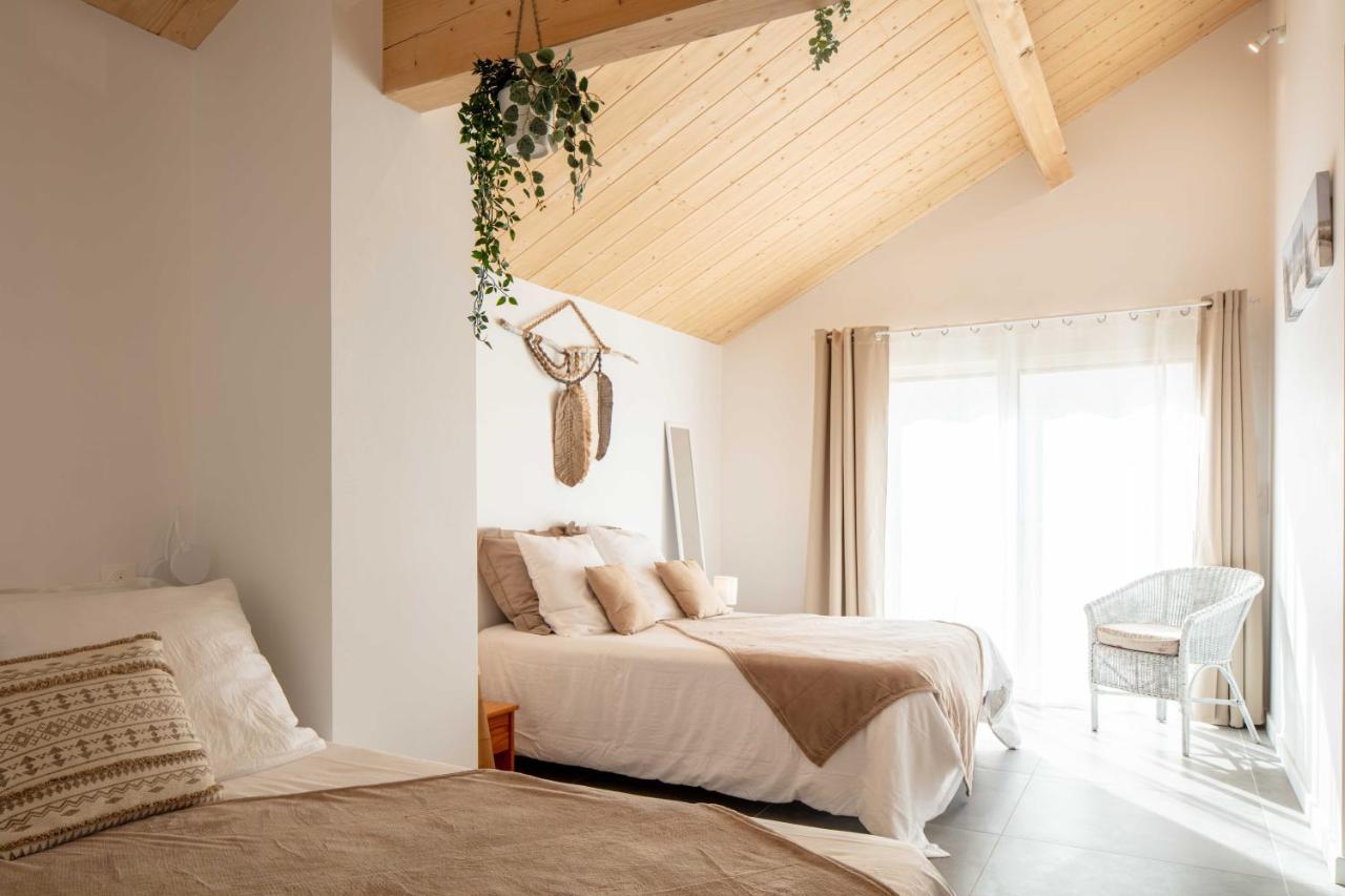 Bed and Breakfast Ted Surf House Capbreton Exterior foto